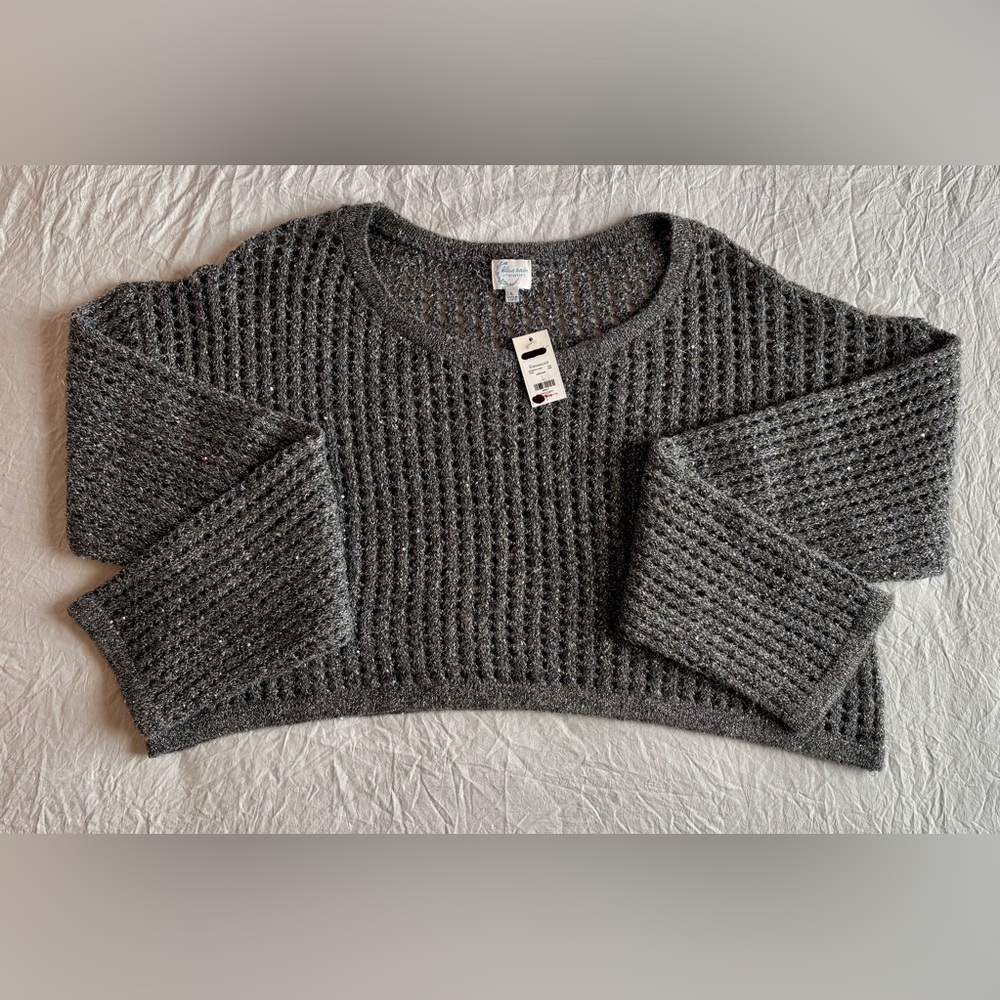Francesca's Collections “Tinsel” Knit Scoop Neck Crop Sweater